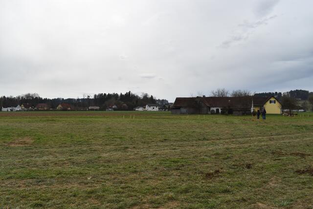 Foto: Löschnig