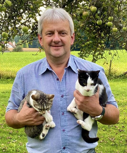 In Tierheimen warten Katzen auf ihre neuen Besitzer. | Foto: Krammer/KK