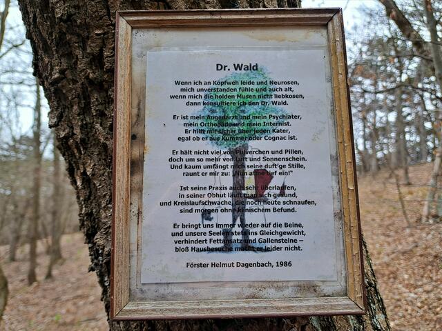 Besser ist aber eine Sprechstunde bei Dr. Wald 🌳

 | Foto: Walter Fuchs