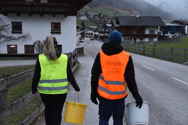 Als Amphibienteam Neustift helfen sie mit weiteren Tierfreunden bis zu 150 Amphibien pro Tag über die Straße. | Foto: Kainz