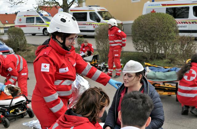 Wie geht es ihenen? | Foto: Christian Nowotny