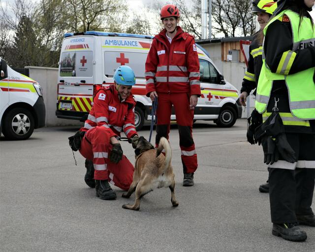 Jetzt bekommt er eine Belohnung | Foto: Christian Nowotny