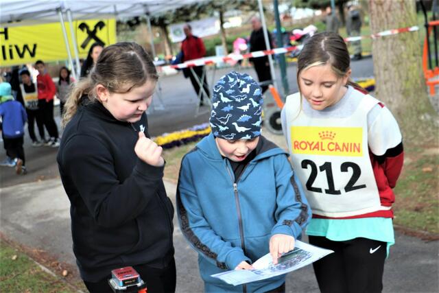 Sich auf der Karte zurechtzufinden, ist gar nicht so leicht. Hailey, Luca und Anna von der VS Gratkorn orientierten sich gemeinsam. | Foto: Edith Ertl