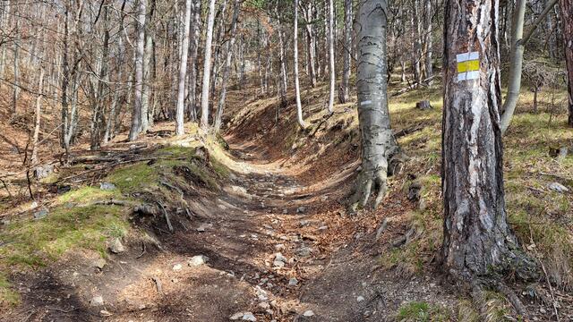 Auf markierten Wanderwegen ...

 | Foto: Walter Fuchs