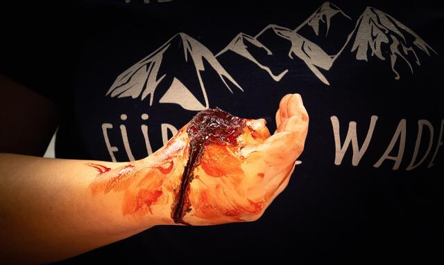 Foto: Christian Nowotny