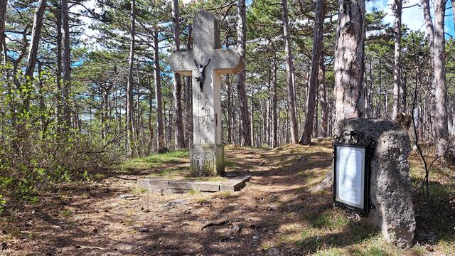 Doch von Anfang an - von Gainfarn führt meine kürzlich stattgefundene Wanderung beim Steinernen Kreuz vorbei ...

 | Foto: Walter Fuchs