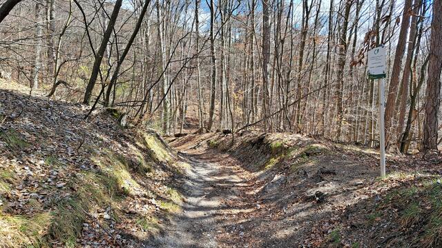 ... ob der Roman auf seinen geliebten Bergen noch unterwegs ist ?

 | Foto: Walter Fuchs