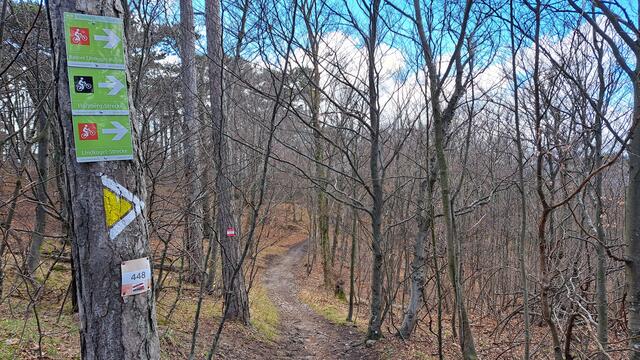 Also trete ich den Rückweg an. ... Aufpassen auf die Biker, die auch auf den Wanderwegen zahlreich unterwegs sind! ... Wenn sie sich von hinten nähern, hört man die Räder kaum noch und Glocken haben die wenigsten! - Die könnten ja die Aerodynamik beeinflussen 😉 ...

 | Foto: Walter Fuchs