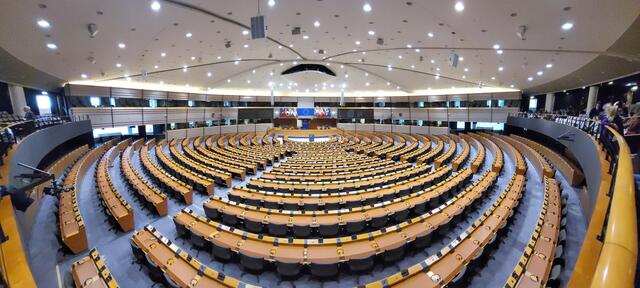 Das EU-Parlament mit seinen 705 Sitzen. | Foto: Helmut Klein