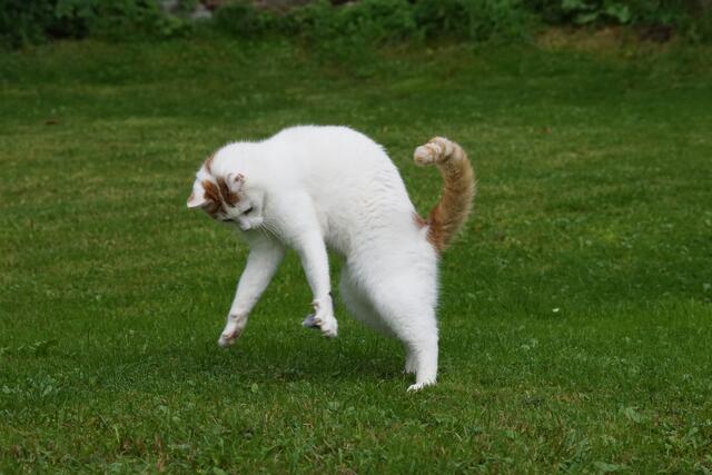 Frühlingsgefühle | Foto: Monika Lürner