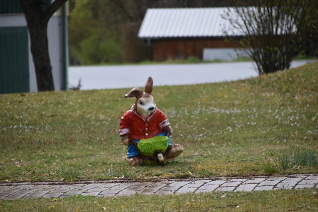 Foto: Michael Strini