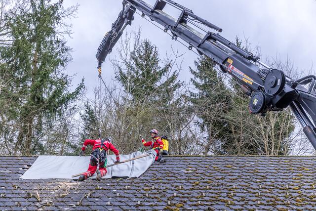 Foto: Hermann Kollinger