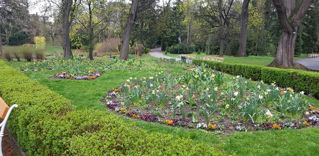 Blumenbeete im Türkenschanzpark