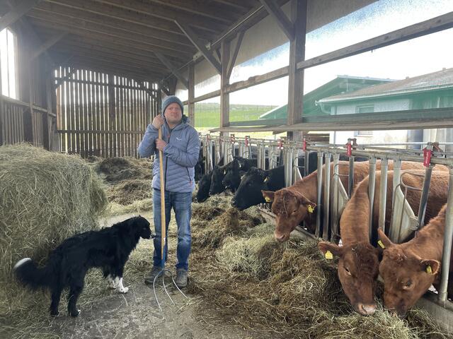 Christoph Denkmaier vom Biohof Saxl in Schenkenfelden versorgt das Falkensteiner mit Rindfleisch aus der Region.  | Foto: BRS