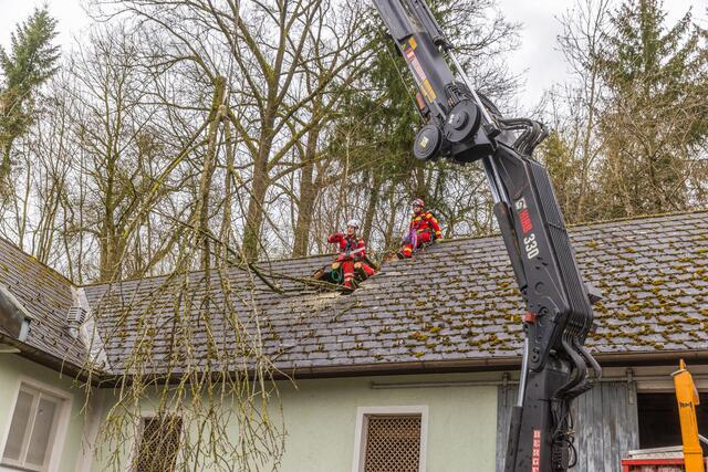 Foto: Hermann Kollinger