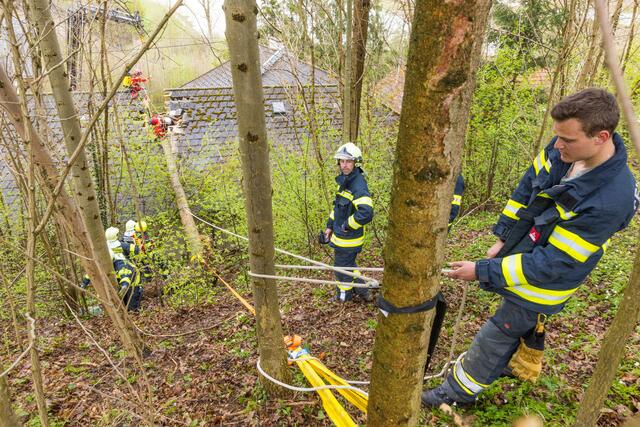 Foto: Hermann Kollinger