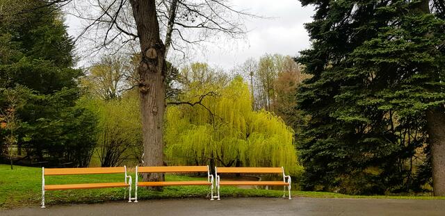 Bankerlsitzen im Türkenschanzpark