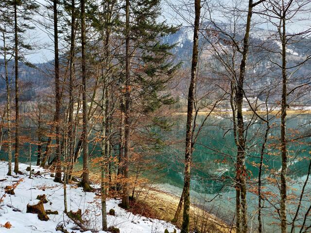 Am Hintersee... | Foto: Heidemarie Bachinger 