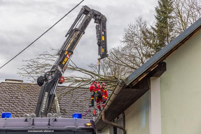 Foto: Hermann Kollinger