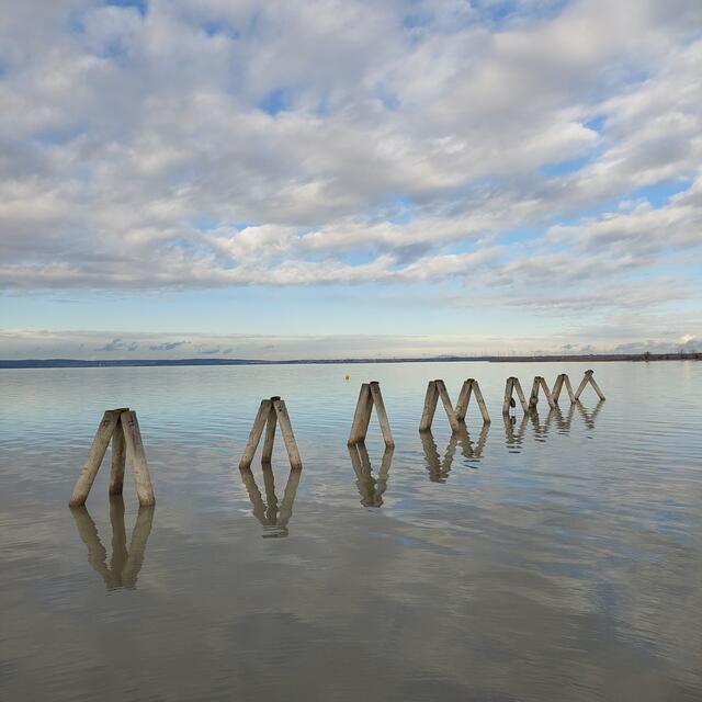 Podersdorf am See, Burgenland 
@renatahfotografie 