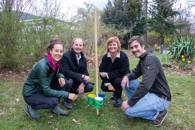 Am 1. April startete eine Projektstudie zu den Wildbienen im Innsbrucker Stadtgebiet. 
Im Bild: Vizebürgermeister Johannes Anzengruber (2.v.l.), Gemeinderätin Renate Krammer-Stark (2.v.r.), Wildtierbeauftragter Thomas Klestil (r.) und Pauline Bühler (Universität Innsbruck) freuen sich über den Start der Projektstudie. | Foto: IKM/M.Freinhofer