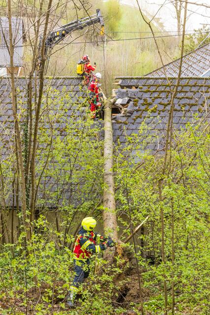 Foto: Hermann Kollinger