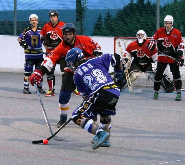 Aktuell ist die österreichische Ballhockey-Liga auf Kärnten beschränkt. Das soll sich wieder ändern. | Foto: Privat