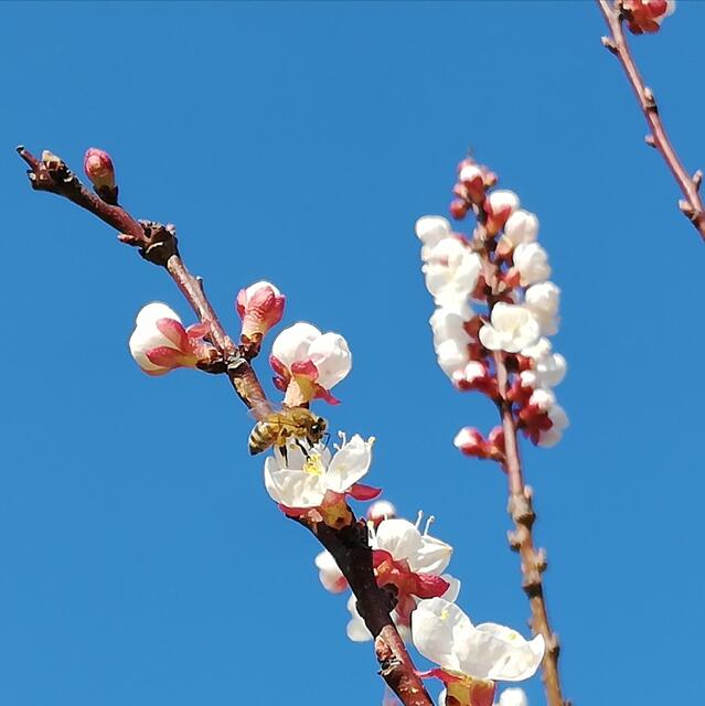 Foto: Elisabeth Paukovitsch