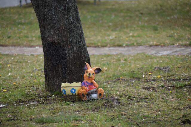 Foto: Michael Strini