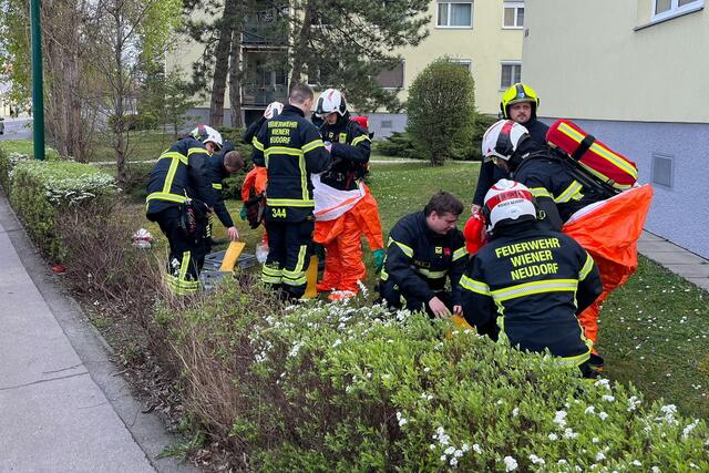Foto: Freiwillige Feuerwehr Wiener Neudorf