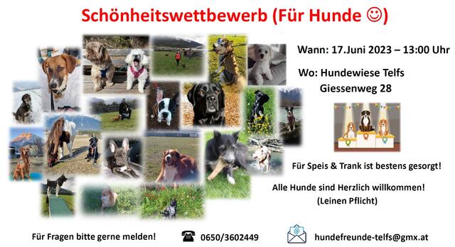 Foto: Hundefreunde Telfs