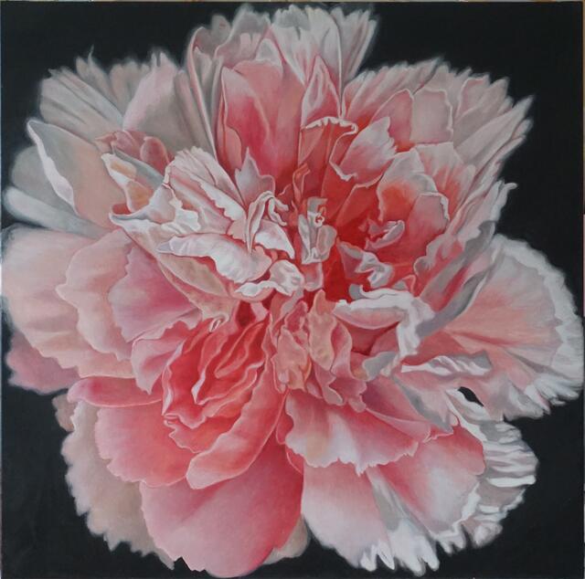 Pink Peony 2022, Öl/Lwd, 100x100 cm  | Foto: Richard Jurtitsch