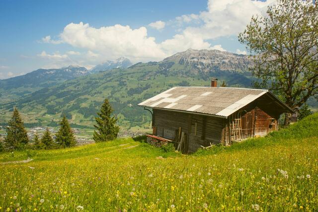 Am 16. April ist in der Wallensteinstraße "Die Trapp-Familie" kostenlos zu sehen. Schauplatz des Films ist die österreichische Idylle.
 | Foto: Waelti/Unsplash