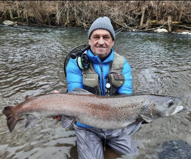 Der Huchen findet auch in der Region immer weniger Lebensraum: Karl Lampel, Fischeraufseher beim Fischereiverein Leibnitz | Foto: privat