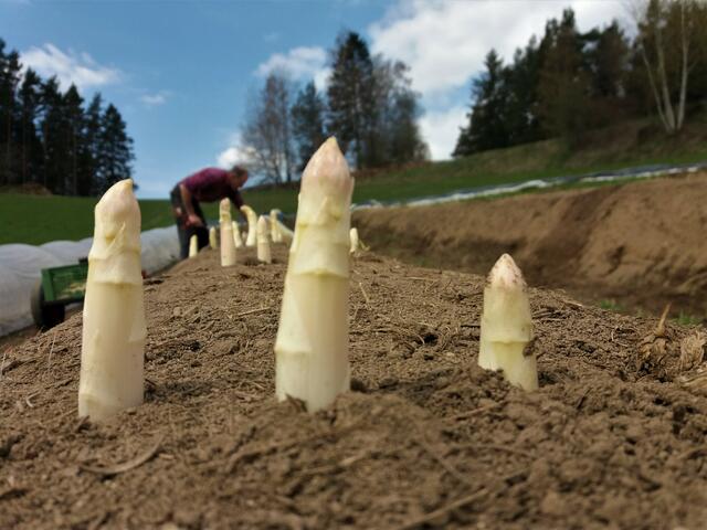 Foto: Gemüsebau Deyerling
