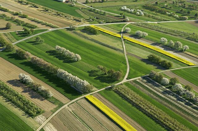 Flugbild von Streuobstwiesen des Naturparks Rosalia-Kogelberg | Foto: Naturpark Rosalia-Kogelberg