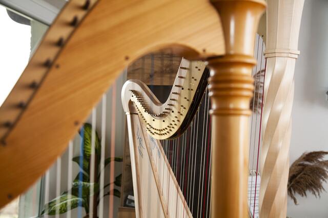 Im Musikzimmer von Petra Mallin. | Foto: Regina Courtier