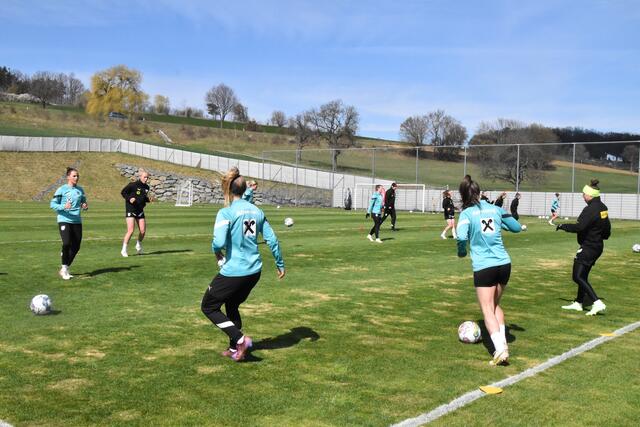 Foto: Michael Strini