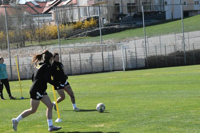 Foto: Michael Strini