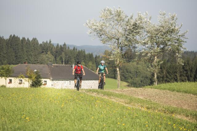 Foto: Tourismusverband