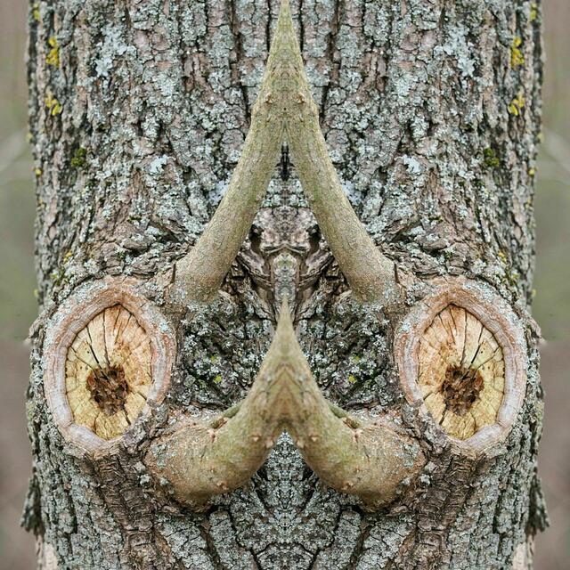 Auf dem Lindenberg, Leobersdorf  | Foto: Anton Kroh