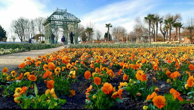 Farbenprächtiger Saisonstart in den Blumengärten Hirschstetten! LG Gaby 