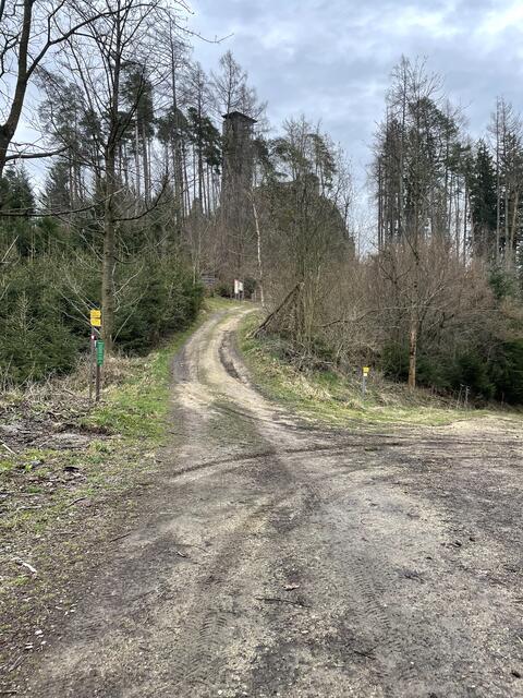 Weg zur Ruine.