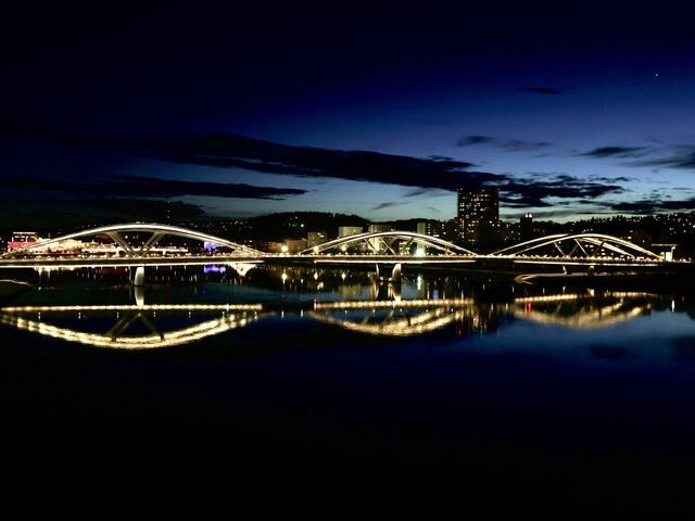 Linz bei Nacht,neue Eisenbahnbrücke  | Foto: Plattner Peter 