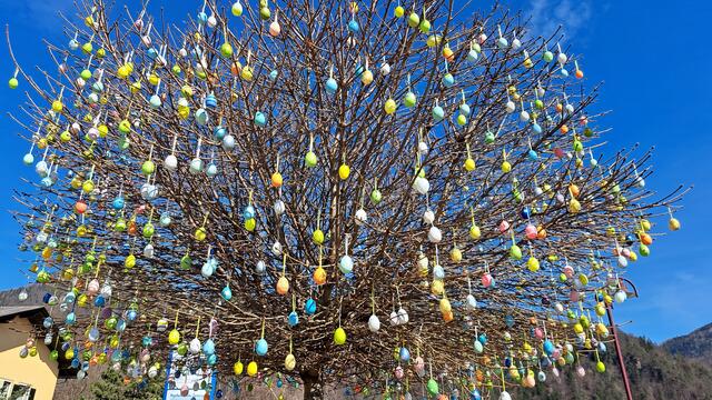10.000 Ostereier: In Frohnleiten und Umgebung wurden Bäume und Sträucher mit einer unzähligen Ostereiern geschmückt.  | Foto: August Kaefer
