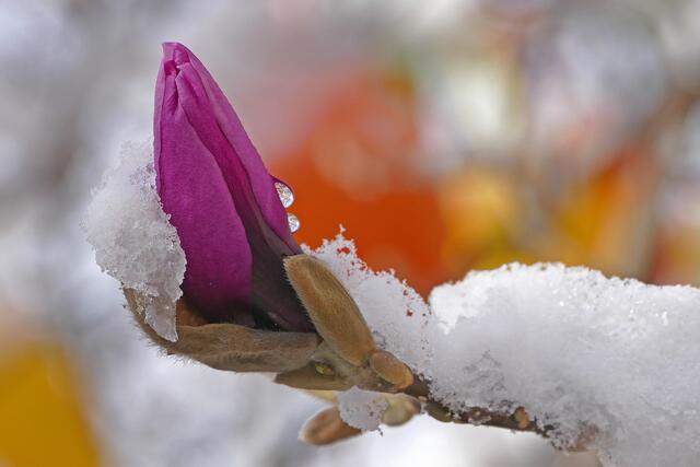 Saukalt ist es uns heut, am 28. März, in Frohnleiten