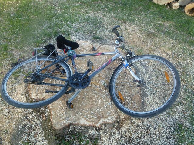 Diese Fahrrad hat beinahe  im Wurzelsock Platz...