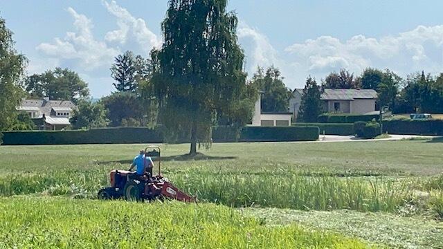 Durch das Mähen gefährde man Tiere und Pflanzen, so Hadl. | Foto: Privat