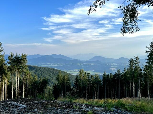 Am Lehmberg könnte in Zukunft ein Windpark  entstehen. | Foto: Die Grünen Salzburg