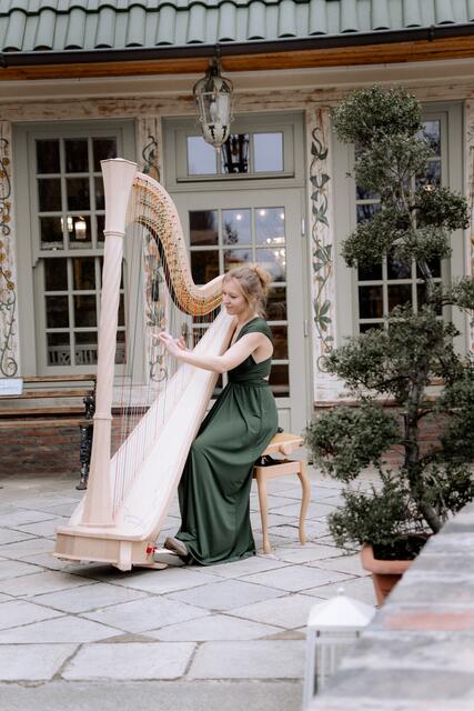 Für Musikuntermalung sorgt die Harfenistin Petra Mallin. | Foto: Melan Rutschek